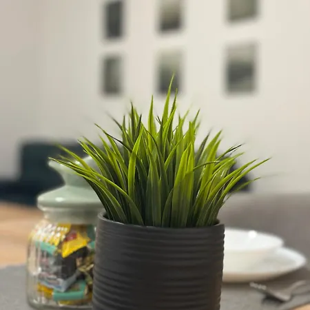 Panonski Mornar Palić