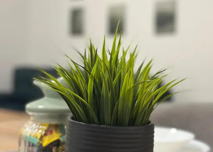 Panonski Mornar Palić